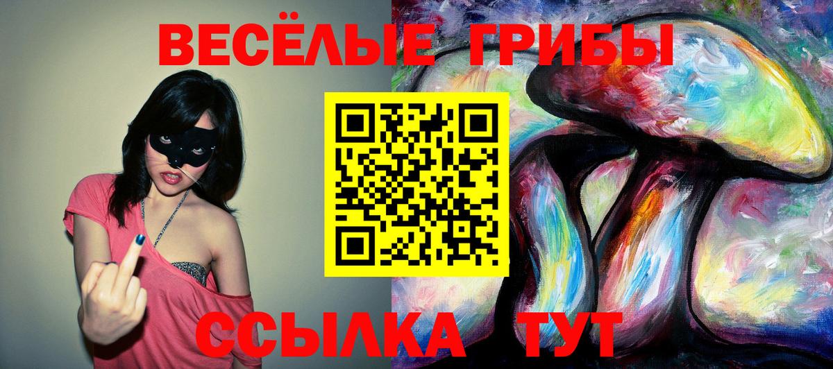 Псилоцибиновые грибы GOLDEN TEACHER  Вход с VPN  Рязань 