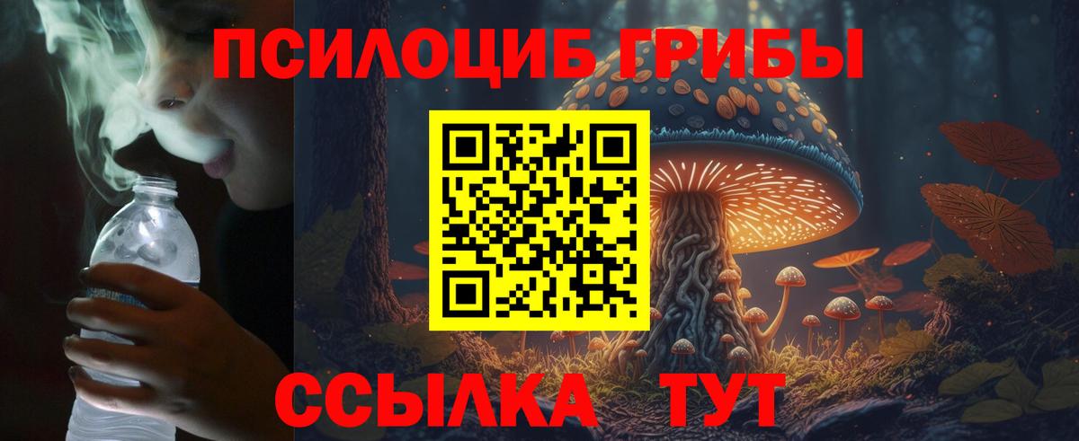 Галлюциногенные грибы MAGIC MUSHROOMS Рязань
